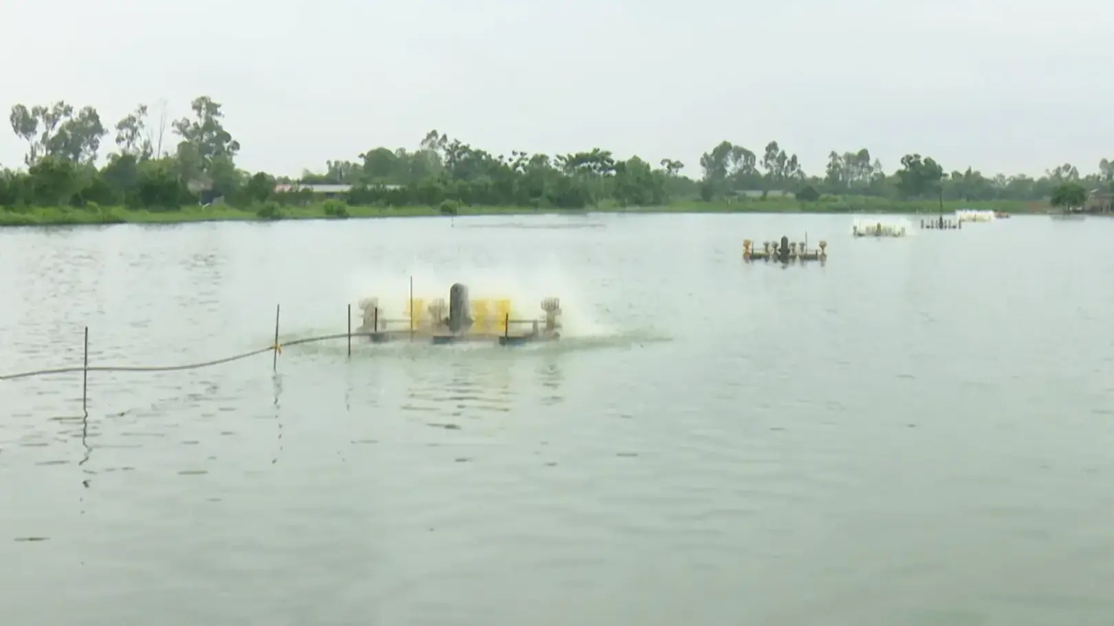 Hà Nội phát triển nuôi trồng thủy sản hiệu quả, bền vững | Nông nghiệp nông thôn | 04/09/2025